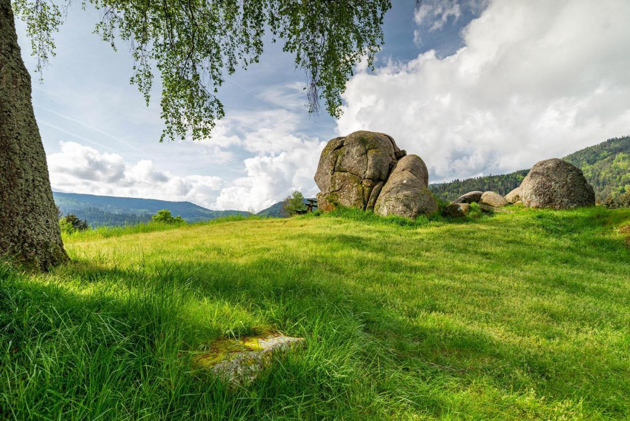 Bergblick Apartment Forbach Bagian luar foto